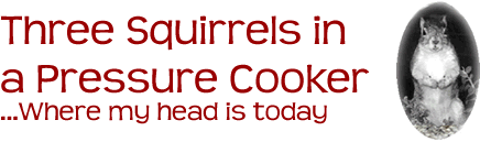 Three Squirrels in a Pressure Cooker
