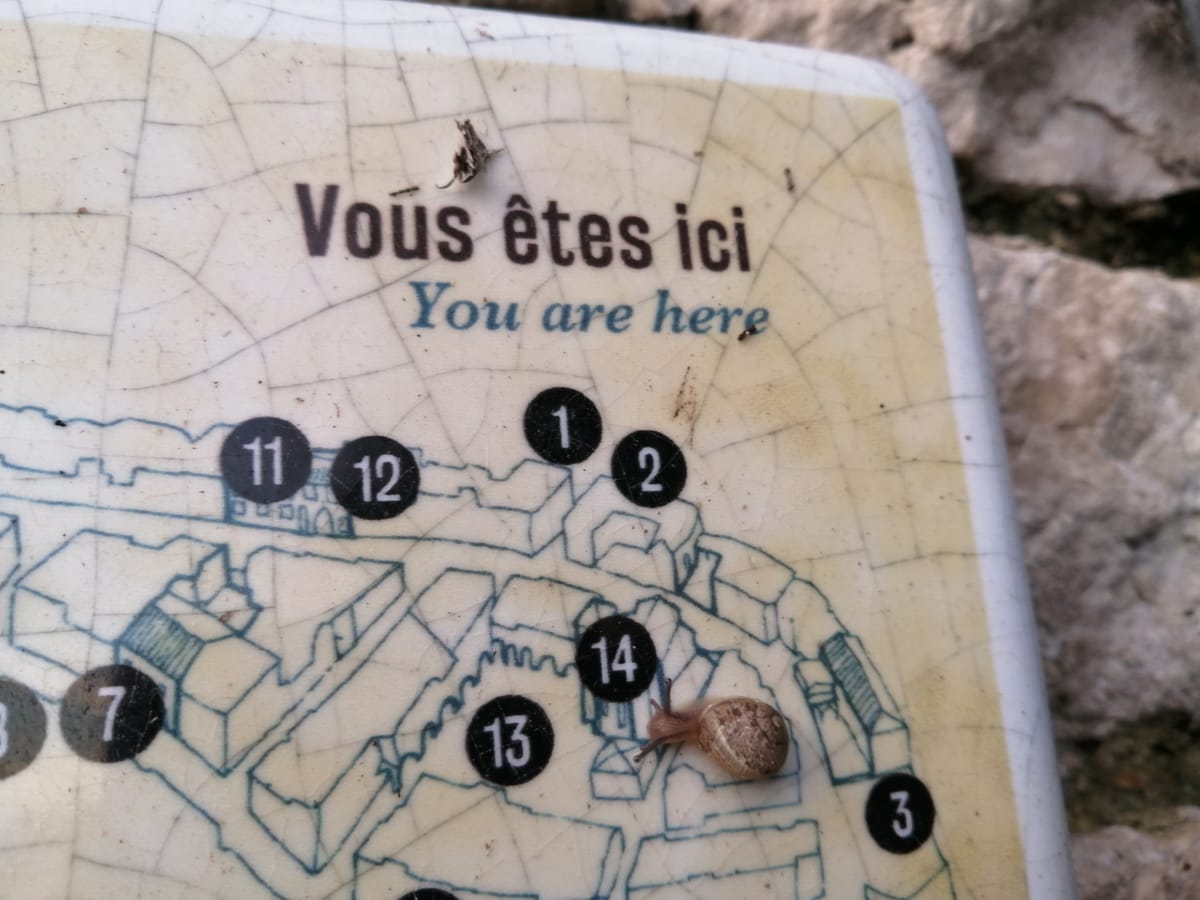 Vous êtes ici