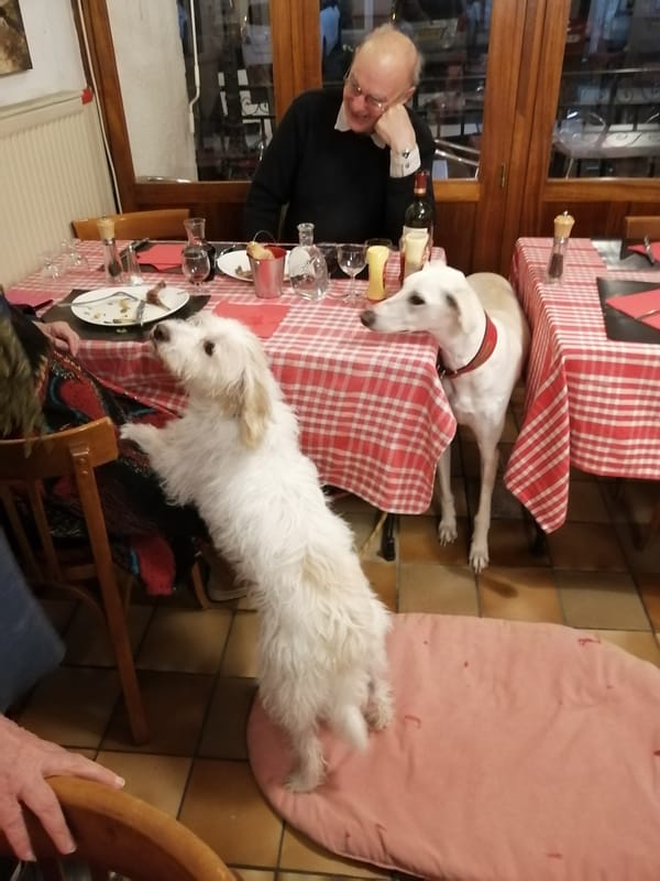 A Dog's Life en France