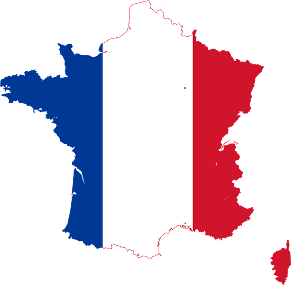 Rapport d'étape