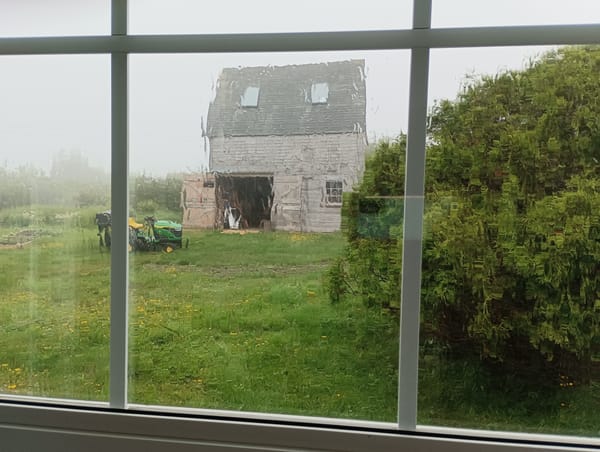 Home again to the fog and rain of July