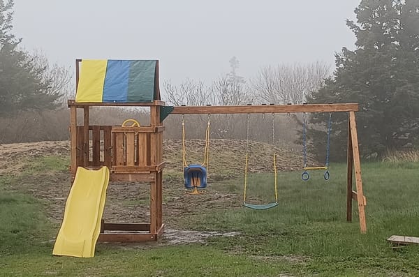 In a Fog