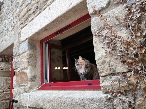 La Manche, avec le Chat